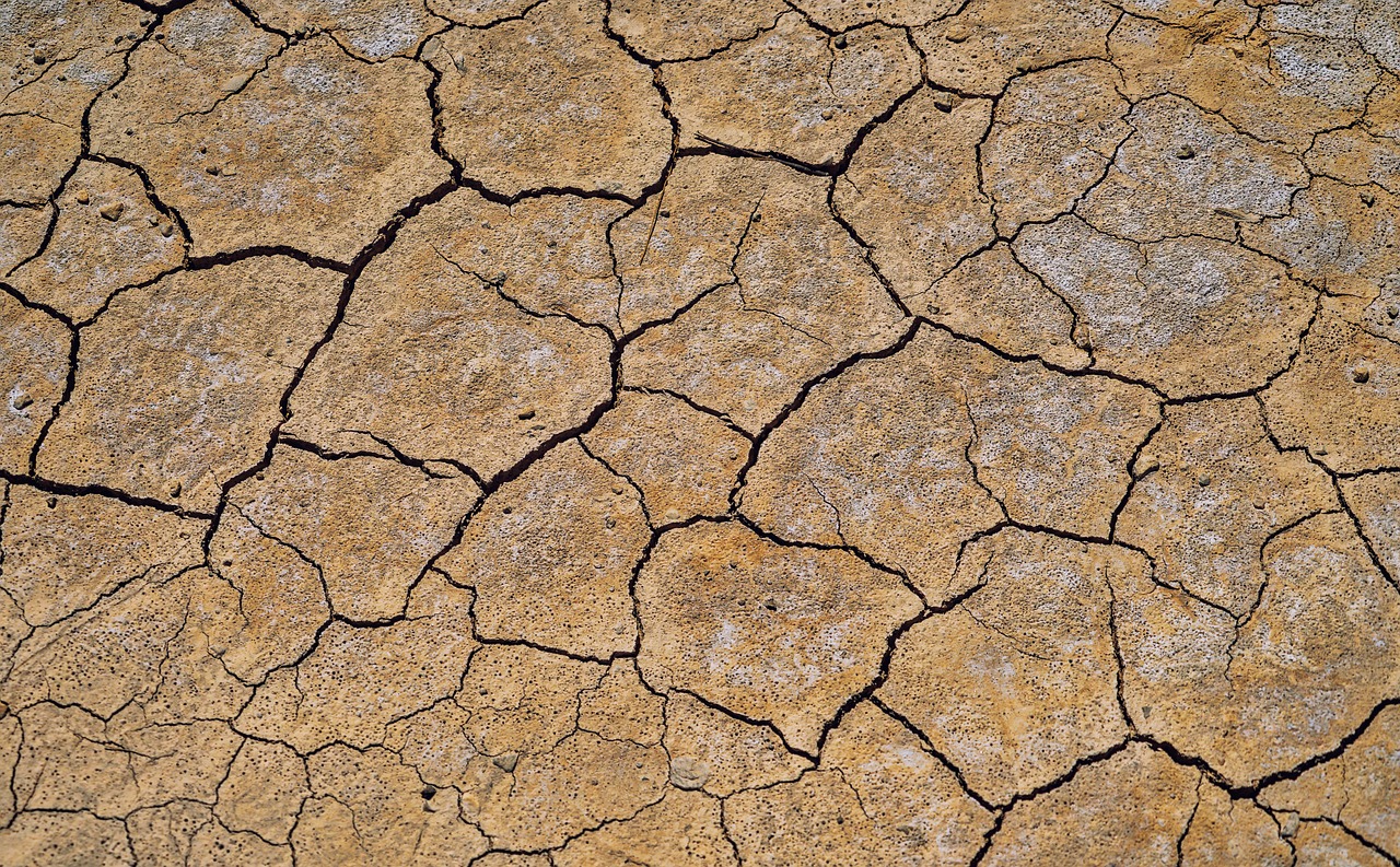 Cracked, dried-out earth