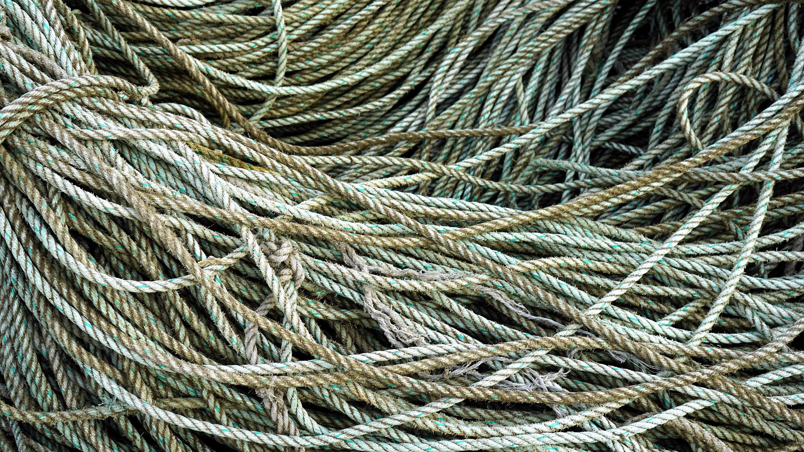 A tangled coil of rope, warm-toned