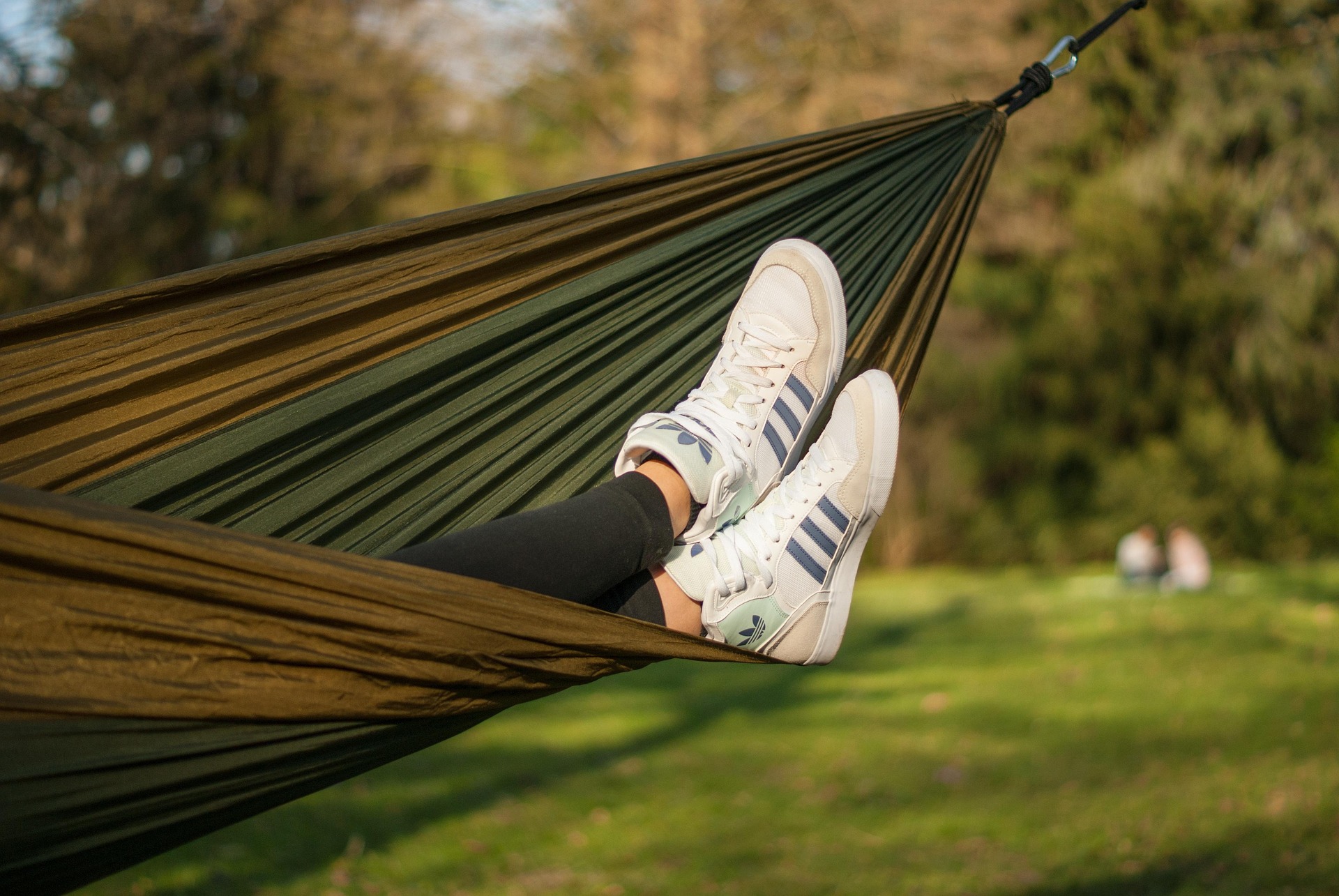 Hero image — the opening, evocative photograph (a hammock, perhaps?)